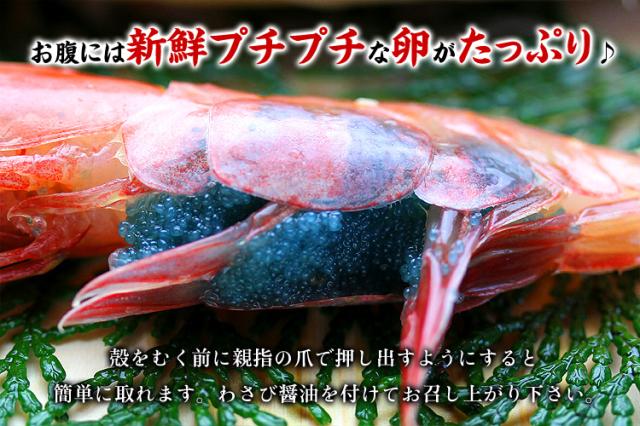 新鮮