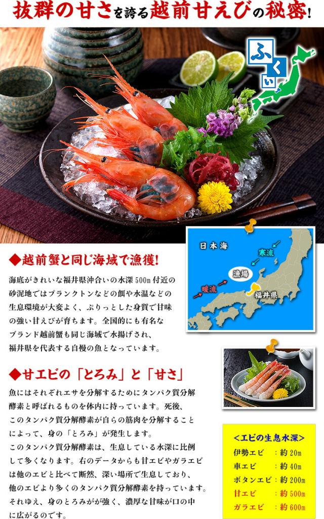 越前