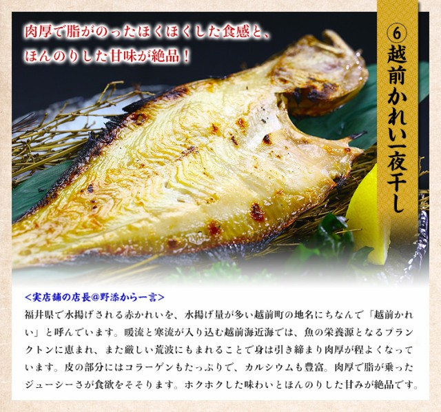 カレイ