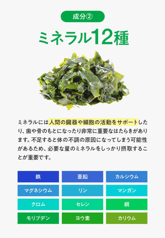 ミネラル12種