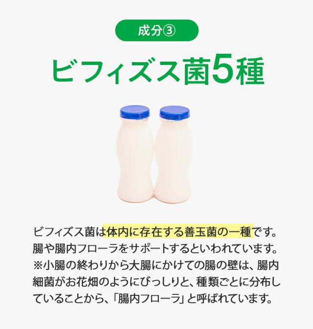 ビフィズス菌5種