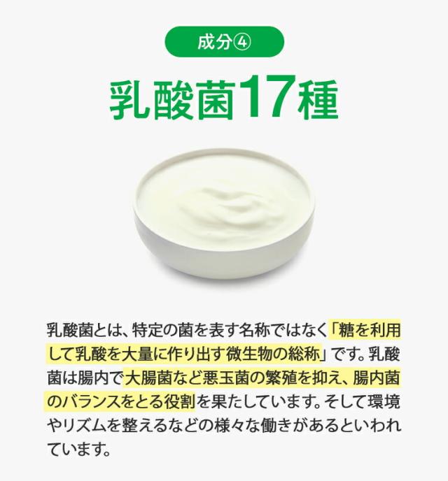 乳酸菌17種