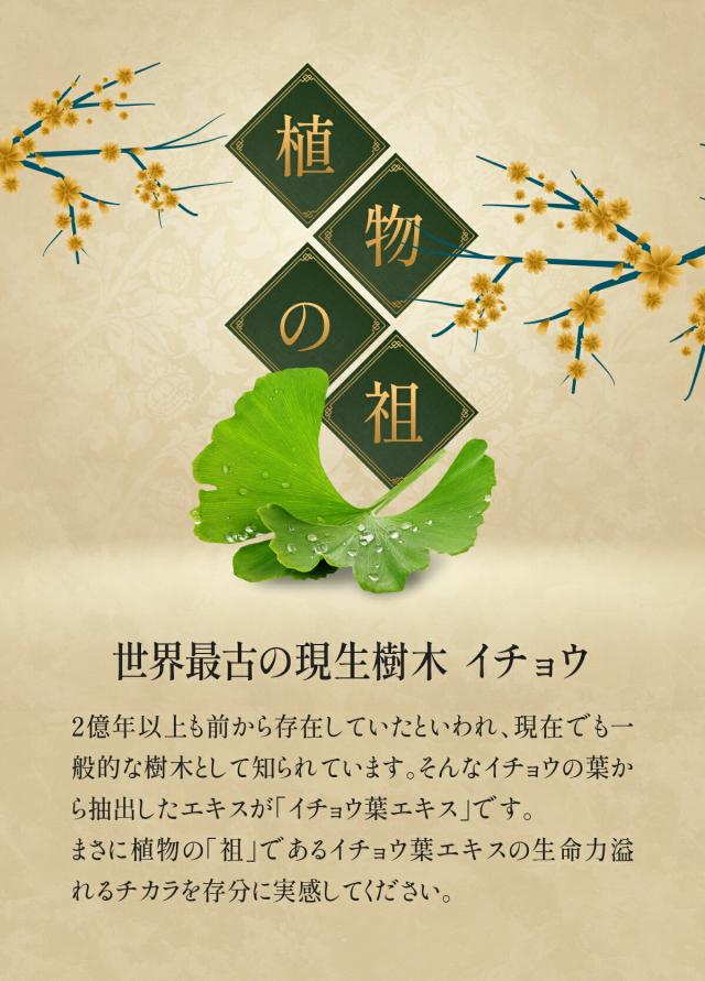 植物の祖