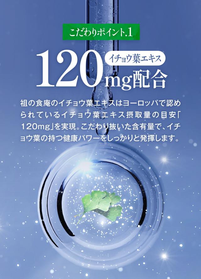 イチョウ葉エキス120mg配合
