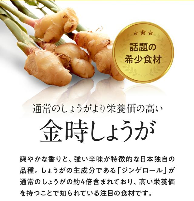 910008_金時しょうが1