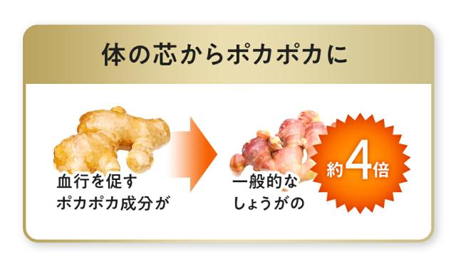 910008_金時しょうが2