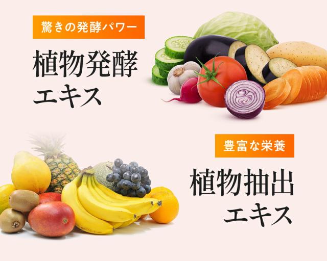 910008_サポート成分2