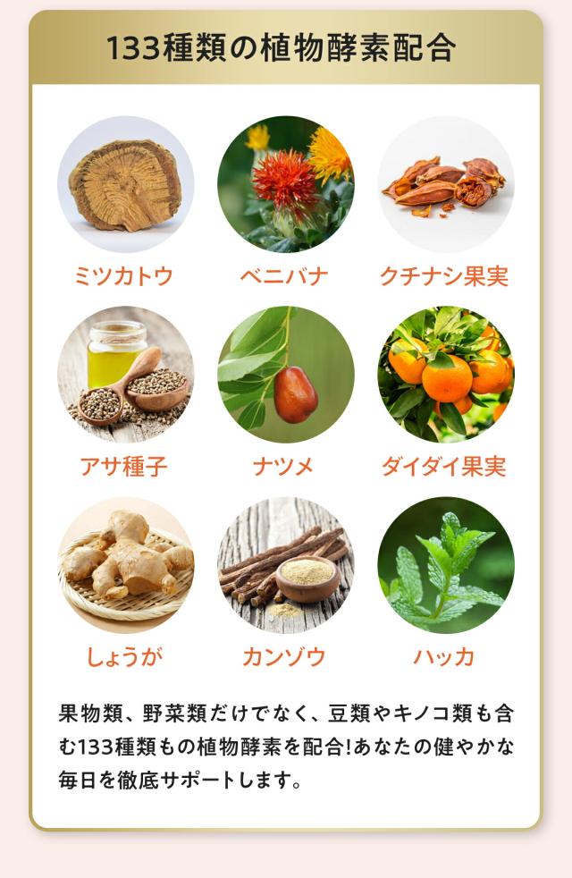 910008_サポート成分3