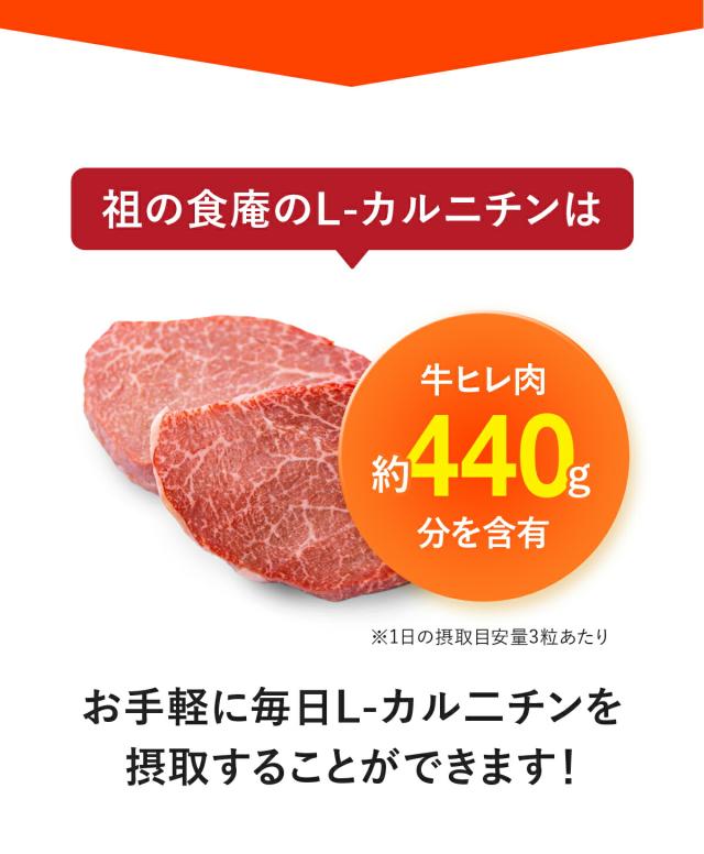 牛ヒレ肉440g分