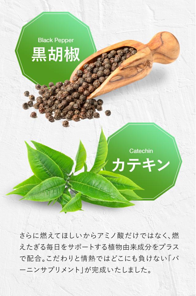 黒胡椒、カテキン