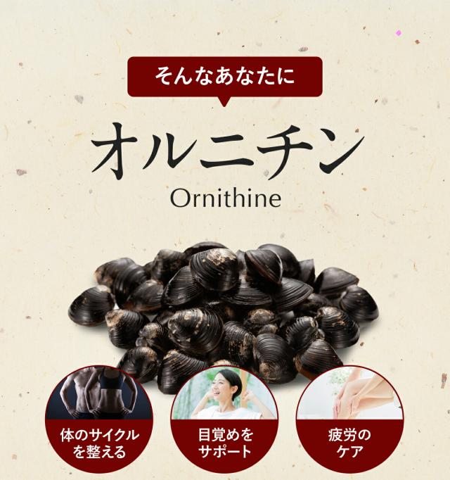 オルニチン1
