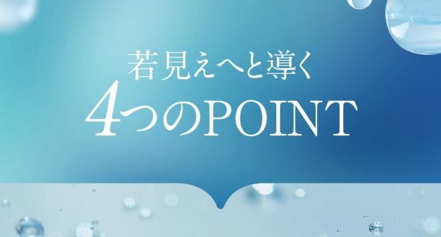 4つのポイント