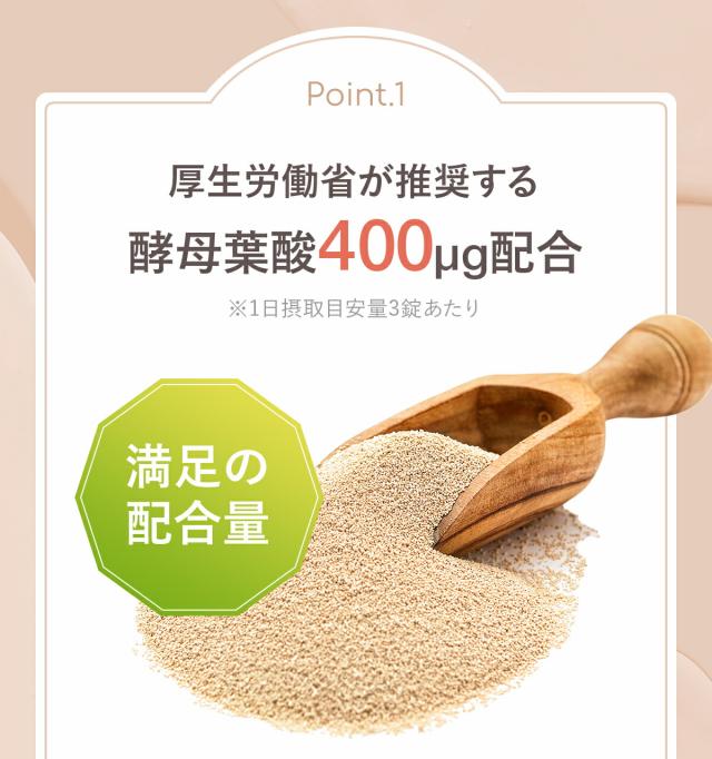 酵母葉酸400ug配合