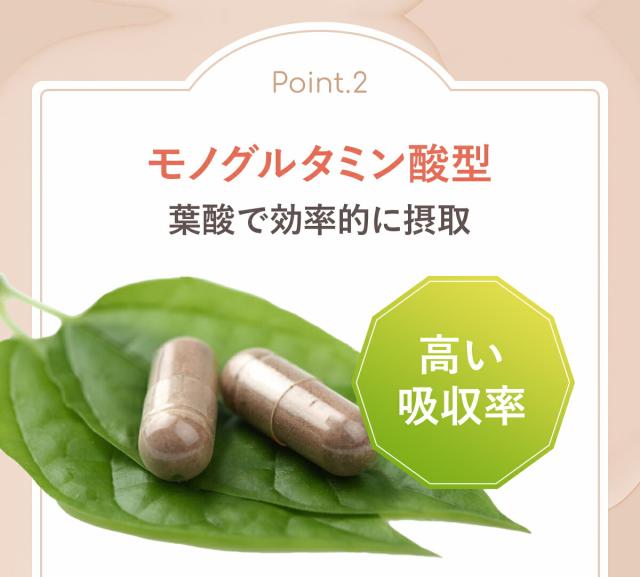 モノグルタミン酸型