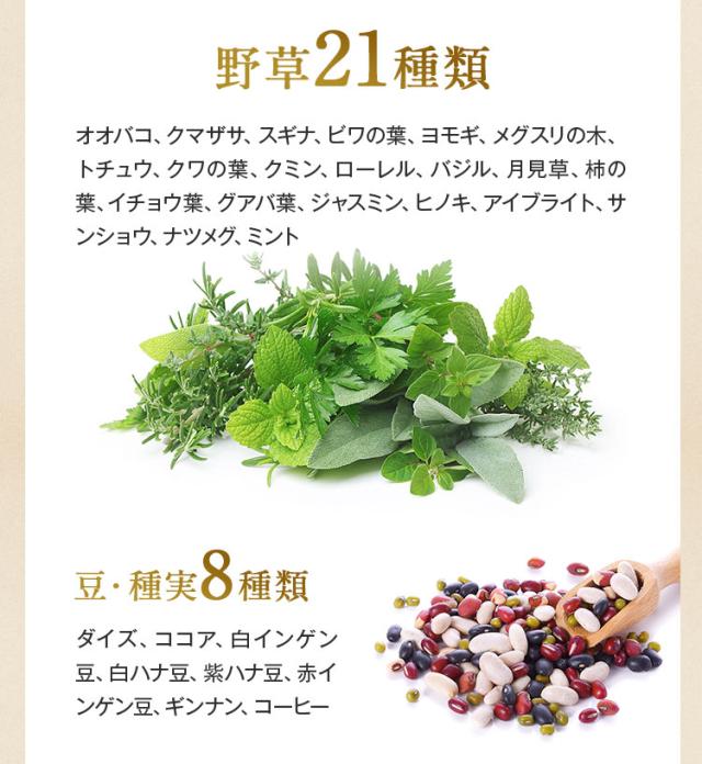 野草21種類
