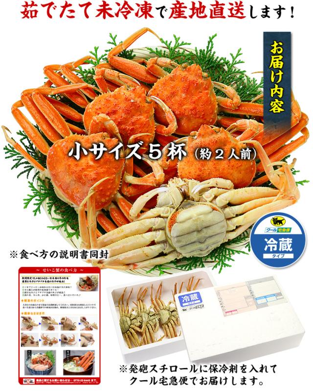 otodoke.jpg
