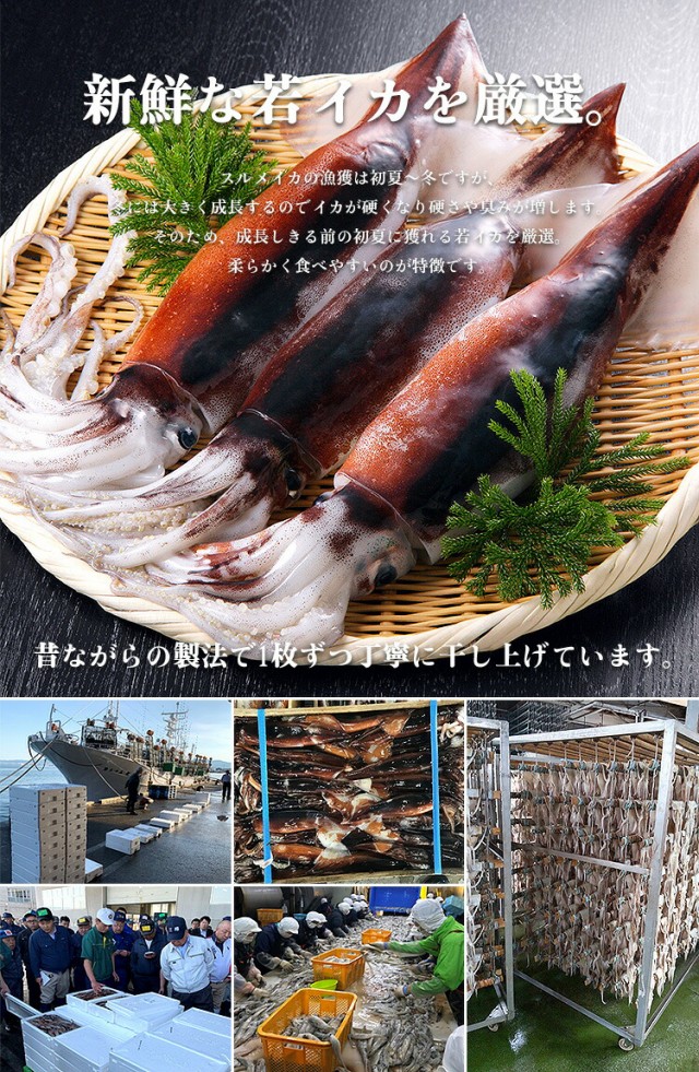 スルメイカ