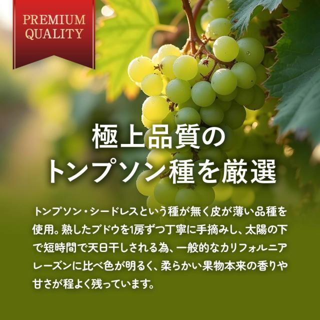 トンプソン品種