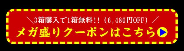 メガ盛りクーポンはこちら