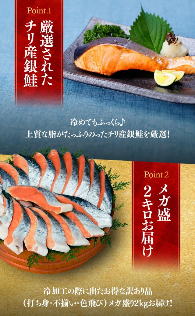 チリ産銀鮭をメガ盛り2kg