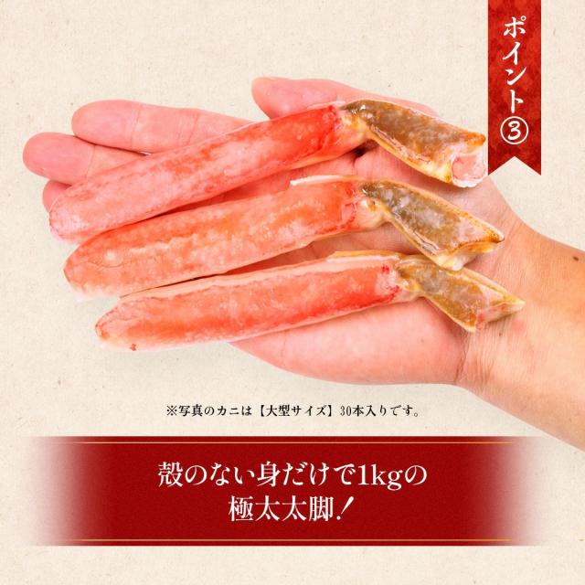 サーモンの豊富な栄養素