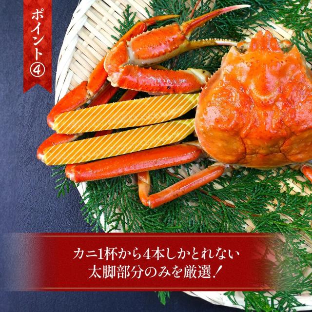 たんぱく質・ビタミン