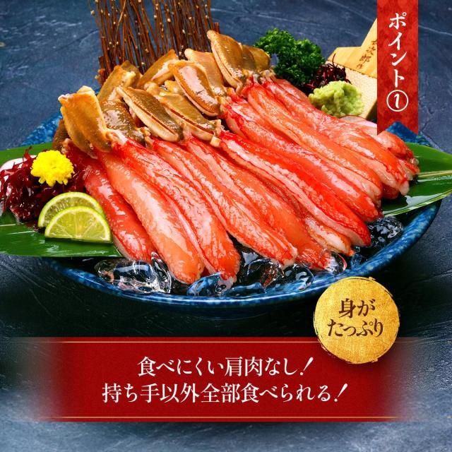 レビュー