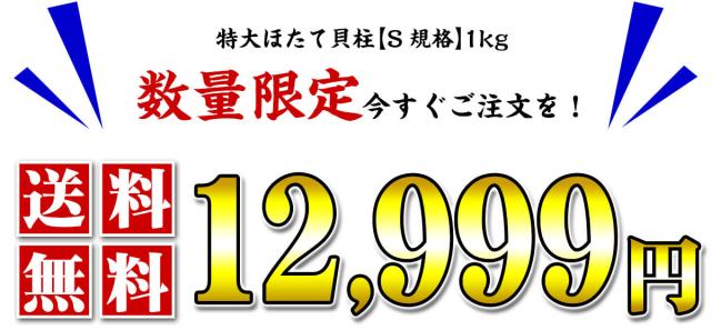 送料無料12,999円