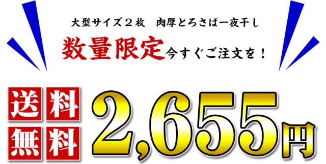 送料無料2,655円