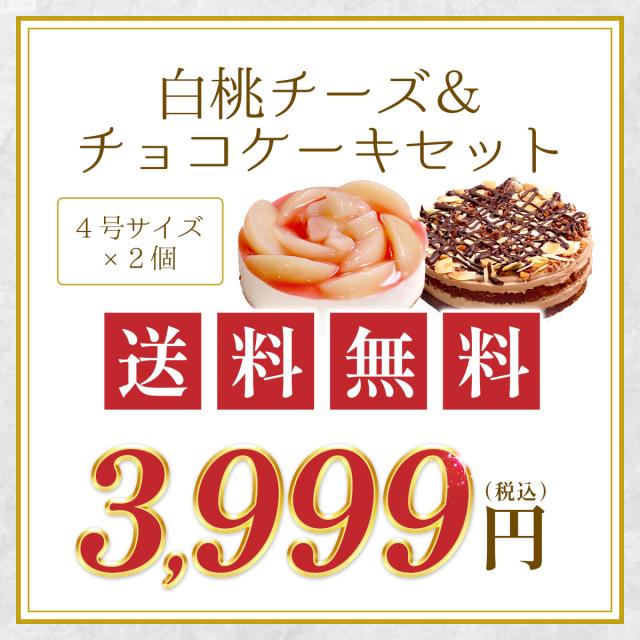 送料無料3999円