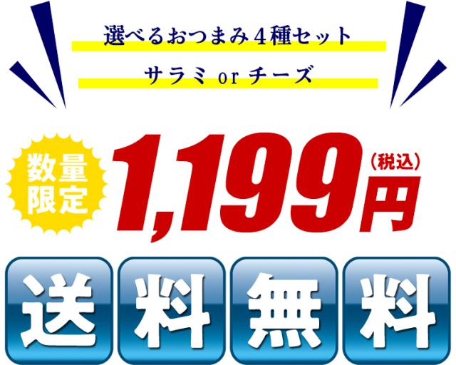 送料無料1199円