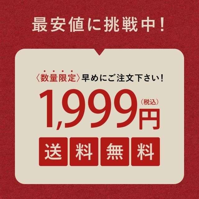 送料無料1,999円