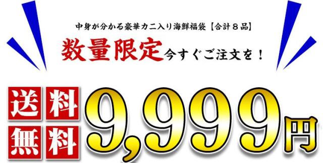送料無料9,999円