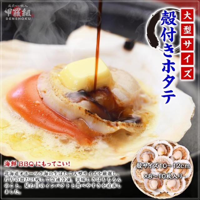 大型殻付きホタテ