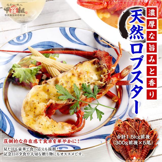 天然ロブスター