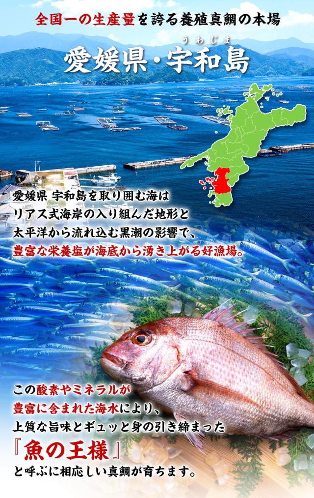 愛媛県宇和島産