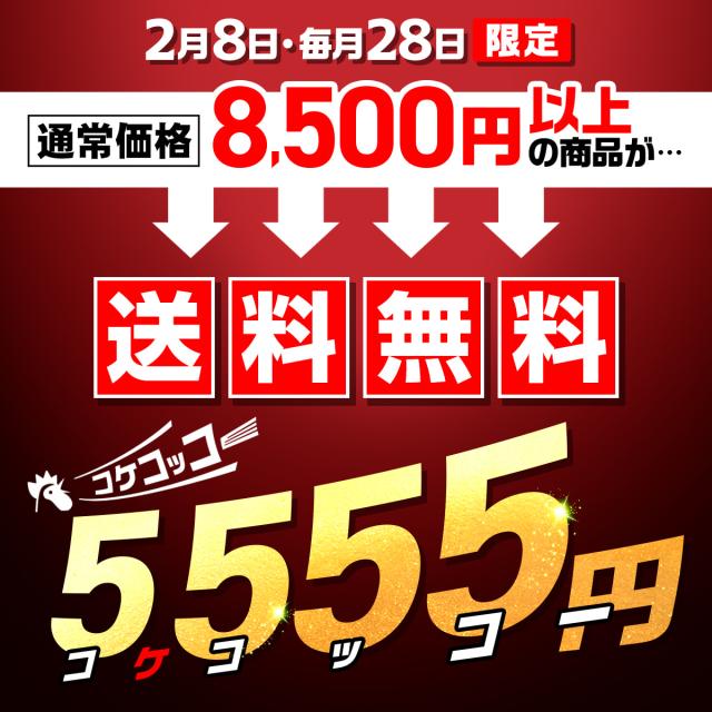 送料無料5555円