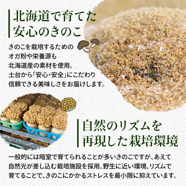 育てるところからこだわった安心のきのこ