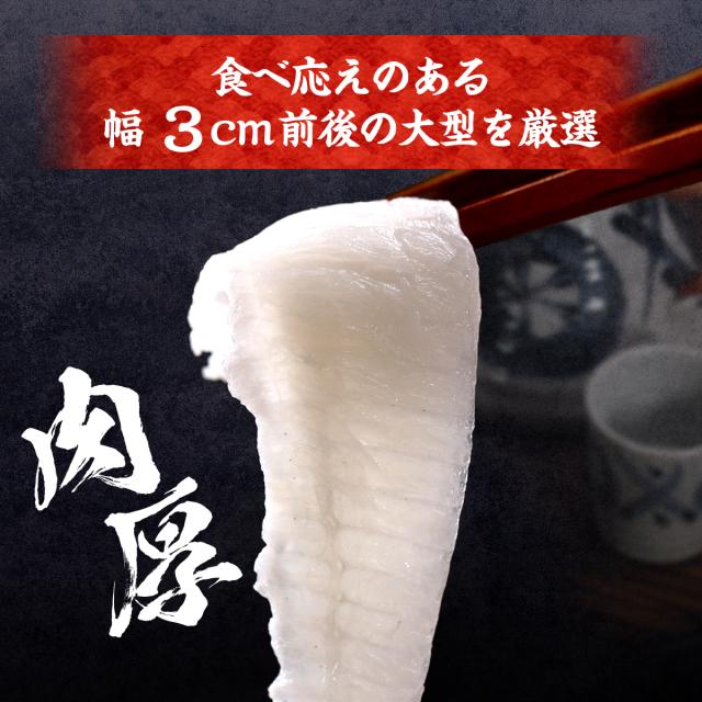 幅3cm前後の大型サイズ