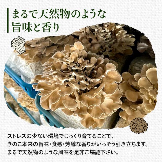 まるで天然モノ