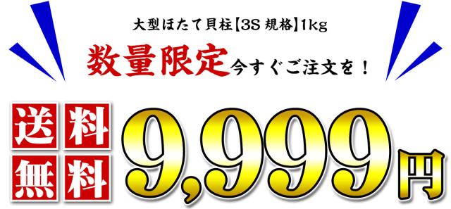 送料無料9,999円