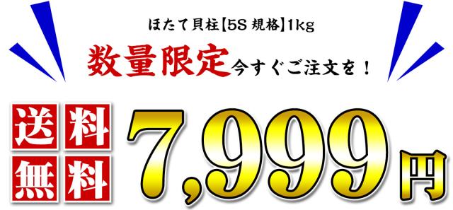 送料無料9,999円