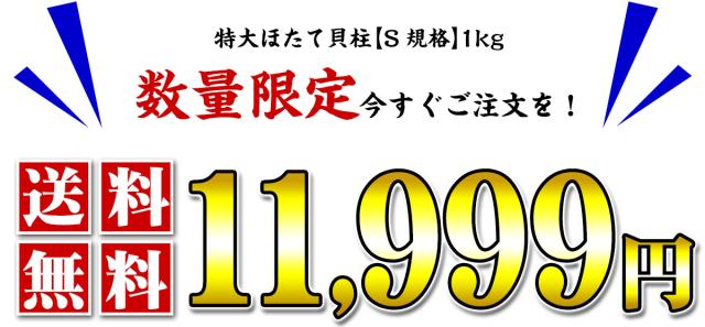 送料無料11,999円