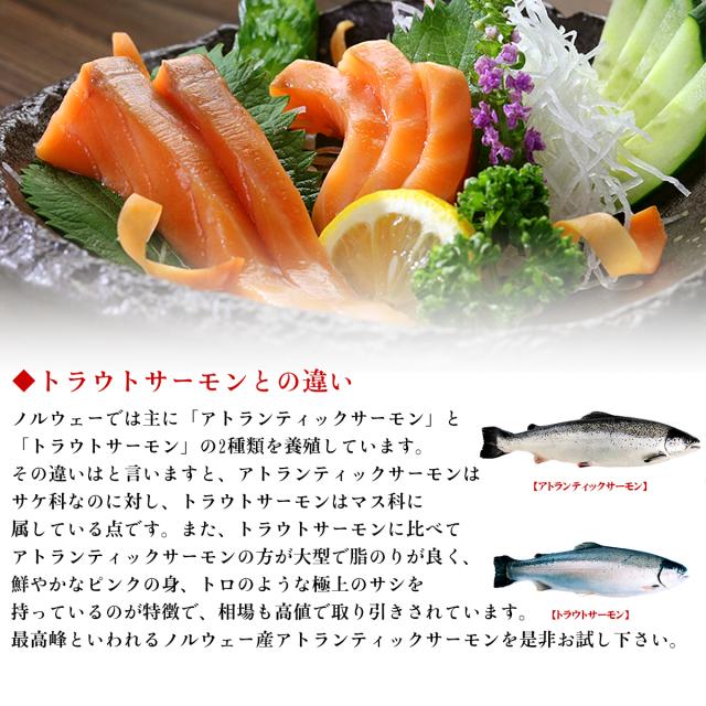 トラウトサーモンとの違い