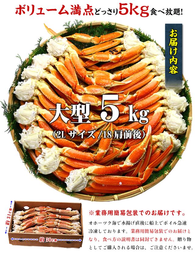 ボリューム満点