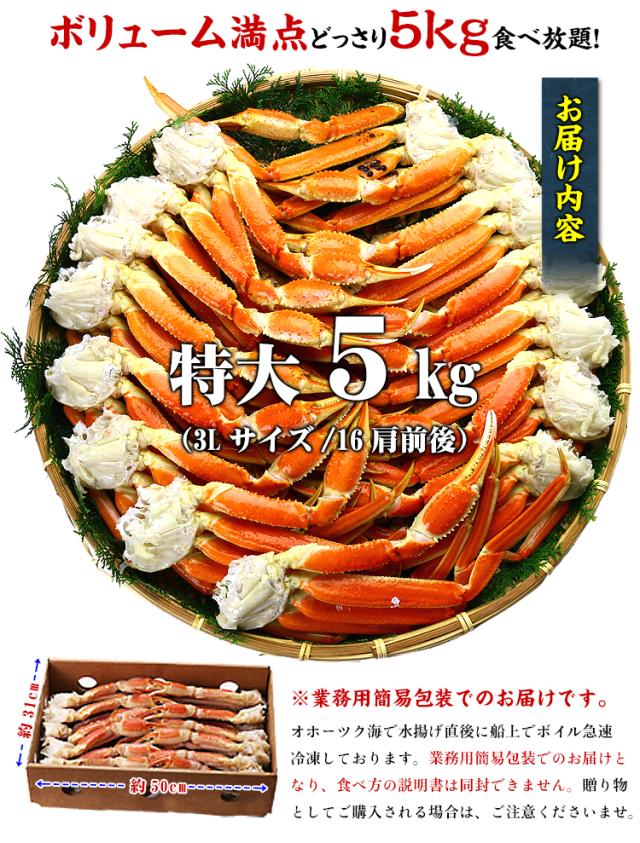 ボリューム満点