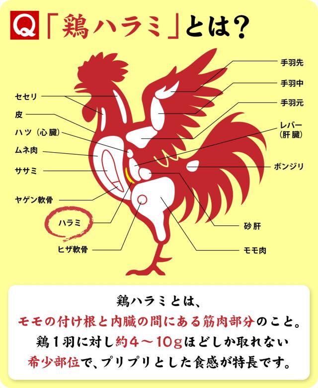 鶏ハラミとは