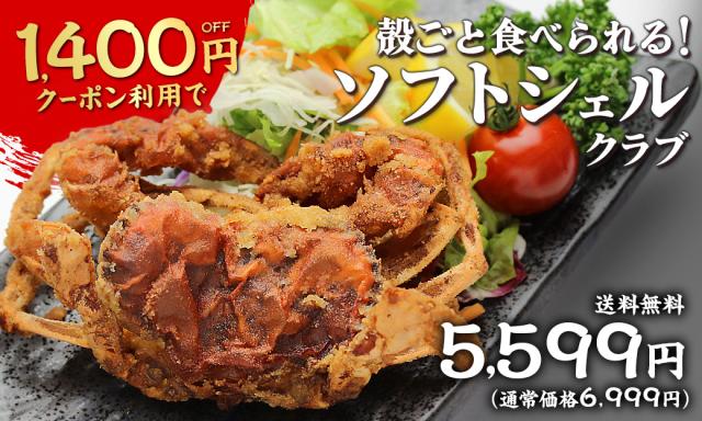 キャンペーン画像