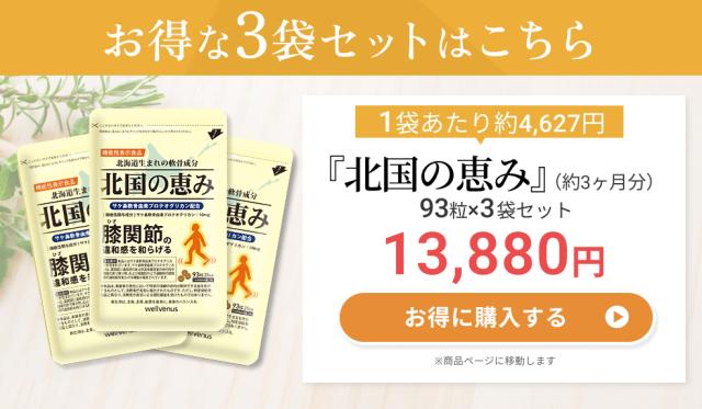 北国の恵みプロテオグリカンサプリメント コンドロイチン サプリ 北国の恵 膝 グルコサミン コラーゲン 膝関節痛 膝の痛み 2型コラーゲン ii型コラーゲン