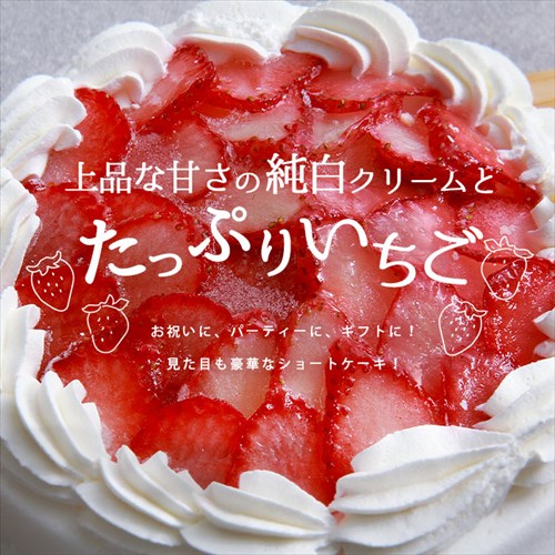 送料無料 ショートケーキ ケーキ いちご イチゴ 苺 フルーツ お菓子 映え 映える ギフト 5号 15cm 配送 写真 冷凍 冷凍ケーキ 洋菓子 スイーツ デザート 大きい 大きめ ボリューミー ビッグサイズ お中元 御中元 お返し プレゼント スイーツ お歳暮 おしゃれ 可愛い 誕生日 バースデー クリスマス お祝い イベント 食品 おやつ
